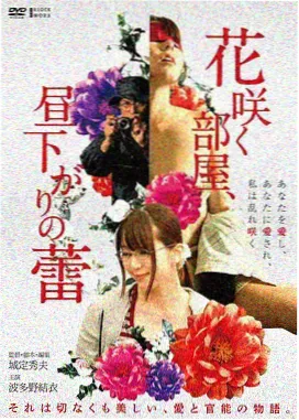 回声实验电影在线观看